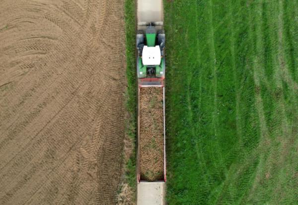 Vue aérienne d'une remorque remplie de pommes de terre près de Geer, dans l'est de la Belgique, le 26 septembre 2025