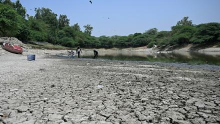 Des personnes ramassent des poissons morts dans un lac partiellement asséché lors d'une vague de chaleur à New Delhi, le 22 mai 2026