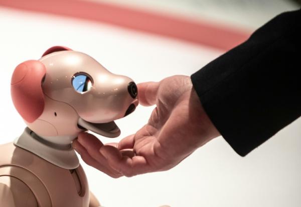 Une personne interagit avec un robot Aibo, à Tokyo le 22 mars 2022