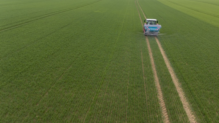 Cultiver sans pesticide tout en conciliant rendement et performance économique, 