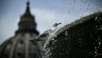 Un oiseau se rafraichit dans une fontaine au Vatican pendant une vague de chaleur le 24 juin 2026