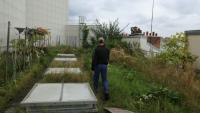 Un potager sur le toit de l'Opéra Bastille géré par la société agricole Topager, le 25 septembre 202 à Paris 