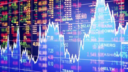 Un résultat net annuel en recul de 13% pour Lectra