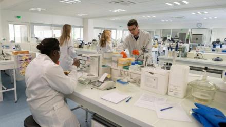 Adocia : flambe, résultats positifs pour l'insuline ultra-rapide