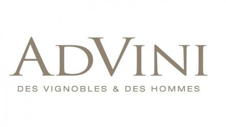 AdVini progresse à l'export et stabilise son chiffre d'affaires à 270,1 ME