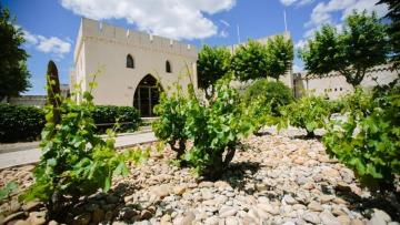 AdVini : projet de rapprochement avec Cordier by InVivo