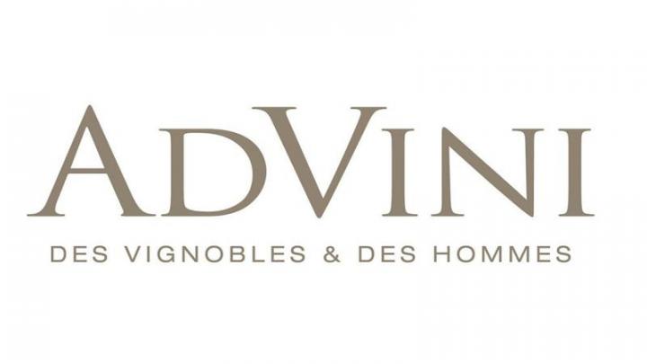 Advini : recul du chiffre d'affaires semestriel