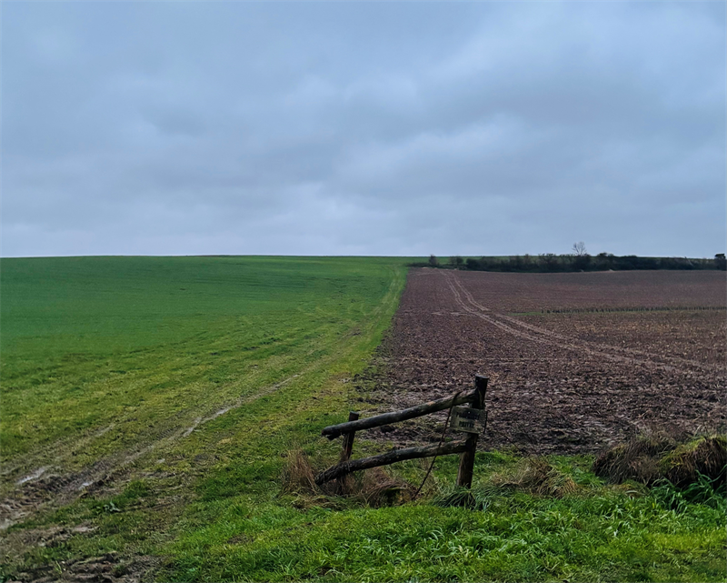 Agripower : nouveau contrat de 4,6 ME dans l'Est de la France