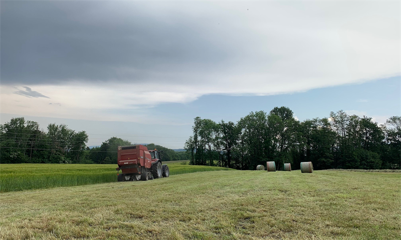 AgroGeneration fait le point