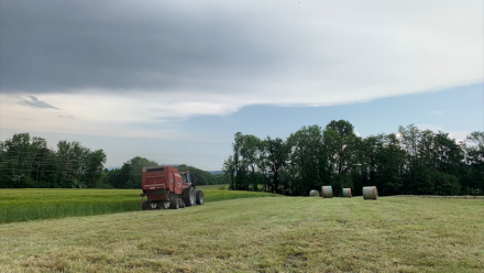 AgroGeneration fait le point