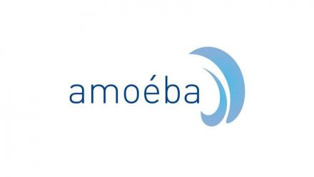Amoeba : Nouvelle avancée stratégique