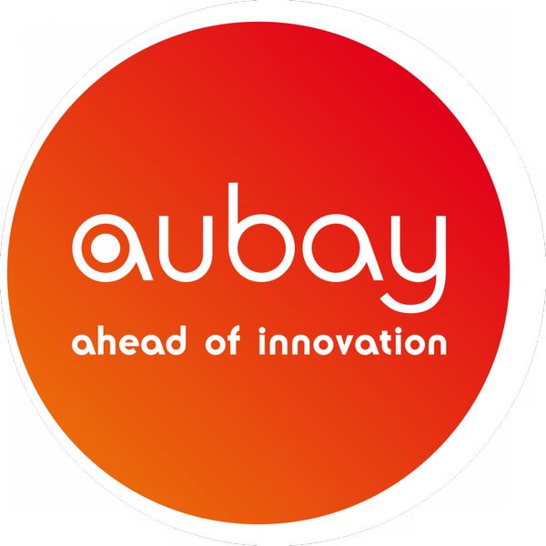 Aubay : le marché applaudit