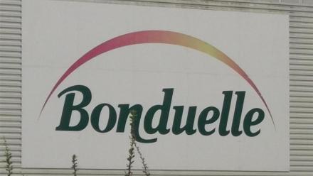 Bonduelle : décevant