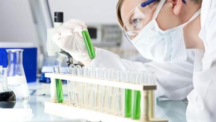 Bureau Veritas : Brokers à l'appui