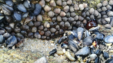 Casino fait le point sur le projet d'adaptation et de renforcement de la structure financière