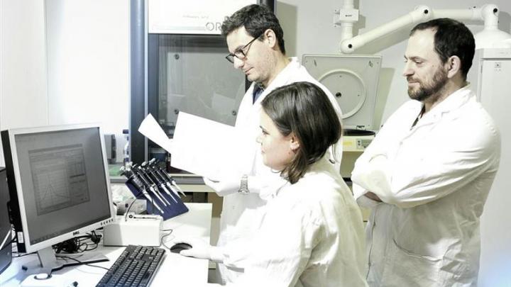 Cellectis : Au 31 décembre 2025, le groupe disposait de 211 millions de dollars de trésorerie