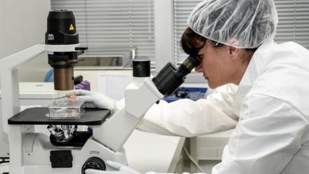 Cellectis : report de publication