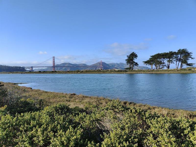 Cisco Systems : chute, le marché s'inquiète pour les marges