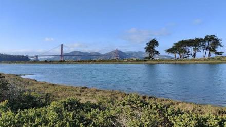 Cisco Systems : chute, le marché s'inquiète pour les marges