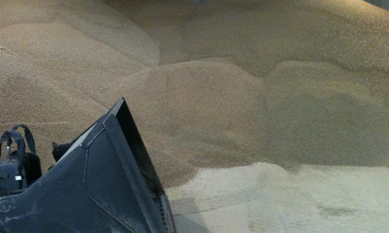 Cogra : confirme sa capacité renouer avec une croissance rentable