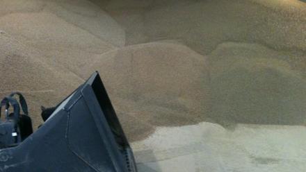 Cogra : confirme sa capacité renouer avec une croissance rentable