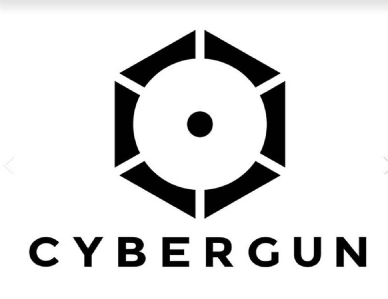 Cybergun : lourde perte sur l'exercice
