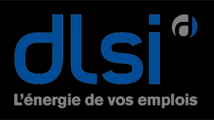 DLSI : évolution de la gouvernance