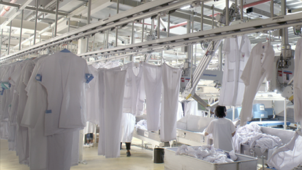 Elis : publication saluée