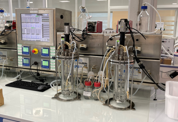 Fermentalg a réduit sa perte en 2025