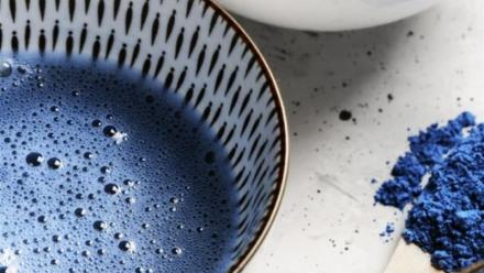 Fermentalg : agenda financier 2026