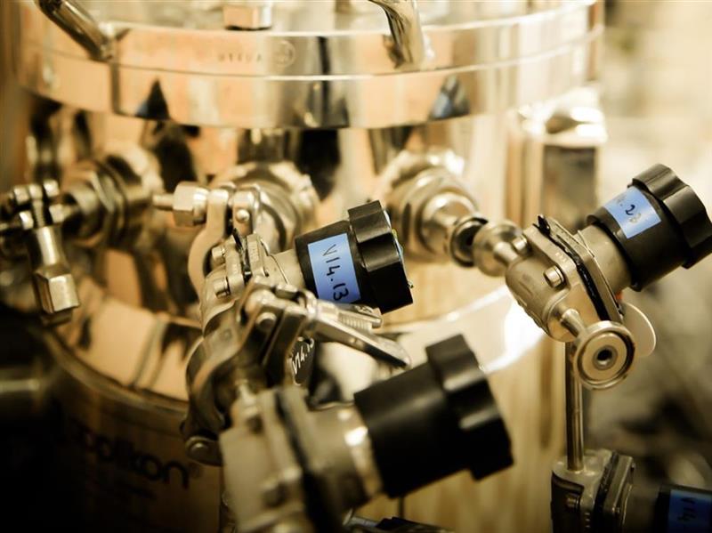 Fermentalg devrait améliorer ses résultats en 2026 mais...