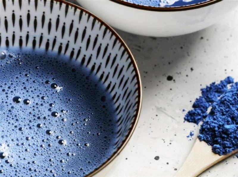 Fermentalg dispose de 24 mois de liquidités