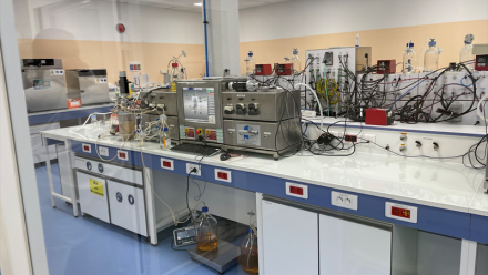 Fermentalg grimpe après les annonces