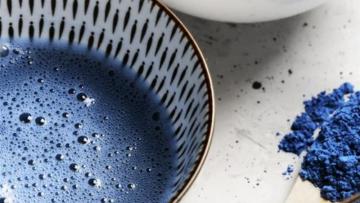 Fermentalg vise 13 ME de chiffre d'affaires annuel