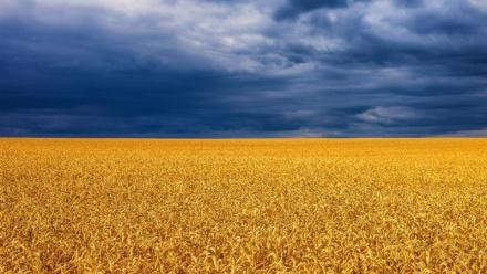 Florentaise : renouvellement de la période d'observation pour 6 mois