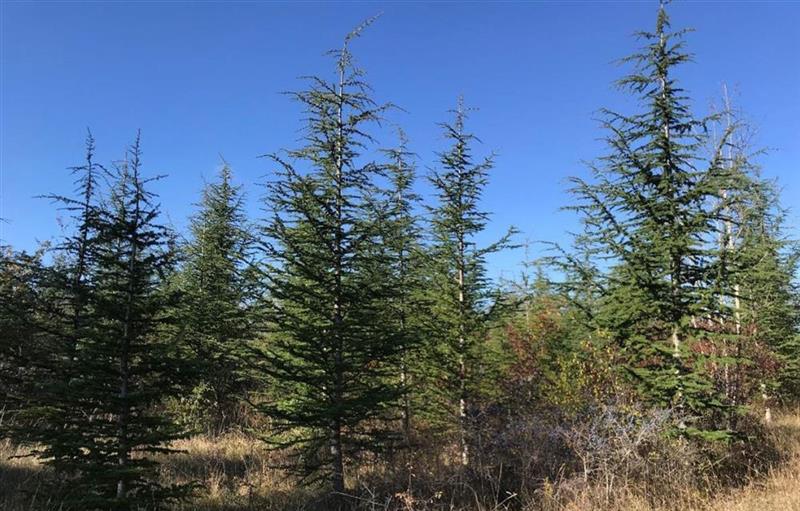 Frey : forte croissance des bénéfices en 2025