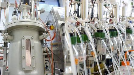 Global Bioenergies : des candidats à la reprise des actifs