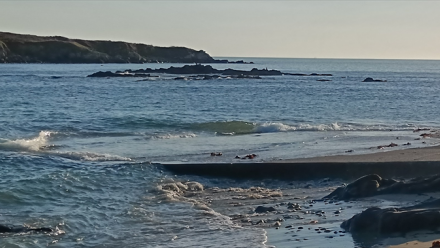 Guillemot : 2025, un contexte difficile