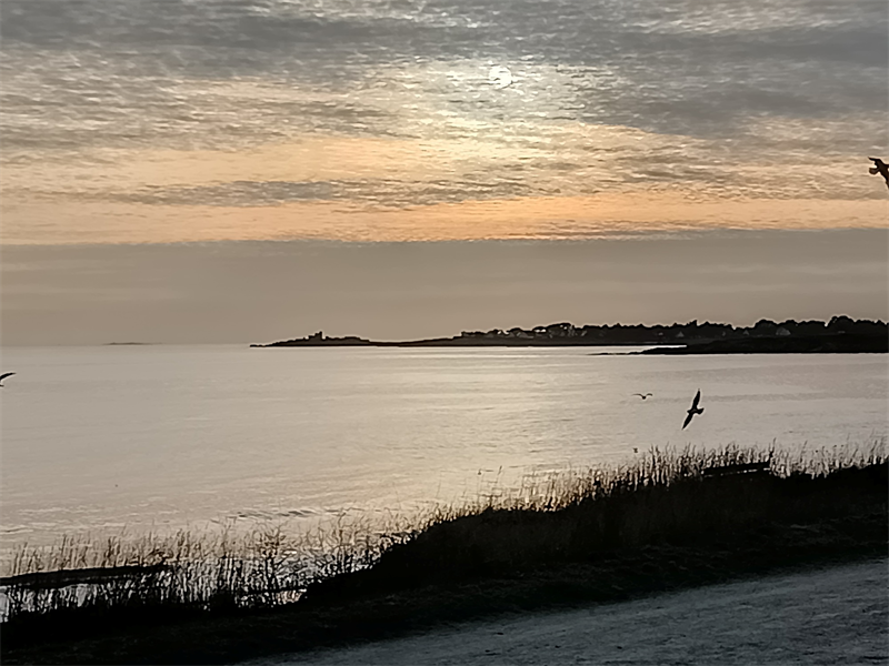 Imeon Energy : la tendance devrait s'améliorer au second semestre 2025