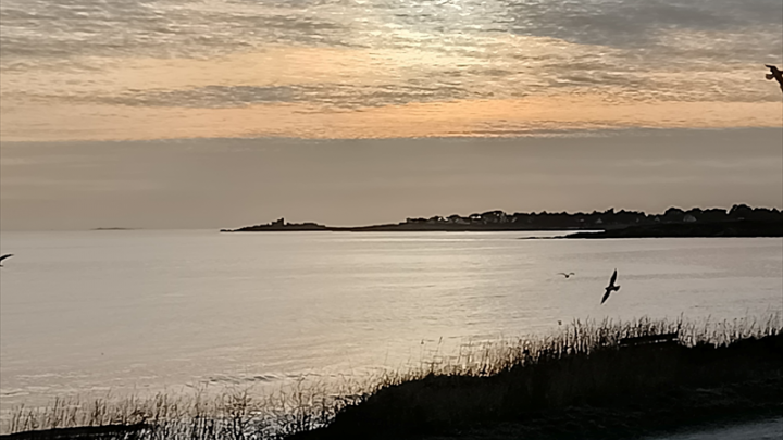 Imeon Energy : la tendance devrait s'améliorer au second semestre 2025