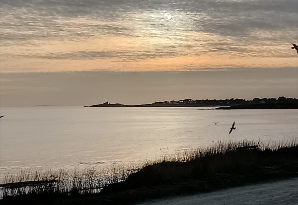 Imeon Energy : la tendance devrait s'améliorer au second semestre 2025