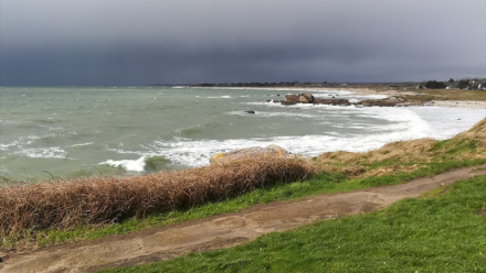 IT Link lance son nouveau plan stratégique