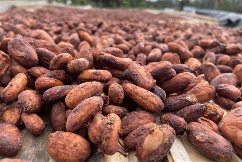 KKO International vise un chiffre d'affaires entre 18 et 20 ME en 2025