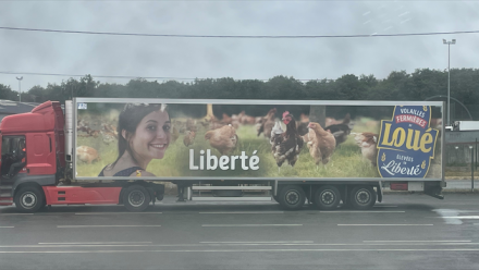 LDC : en hausse malgré le Mercosur