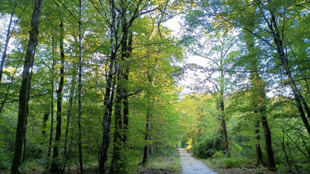 Les Constructeurs du Bois : gros contrat au Luxembourg
