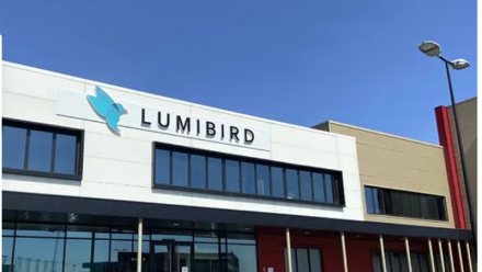 Lumibird : retombe
