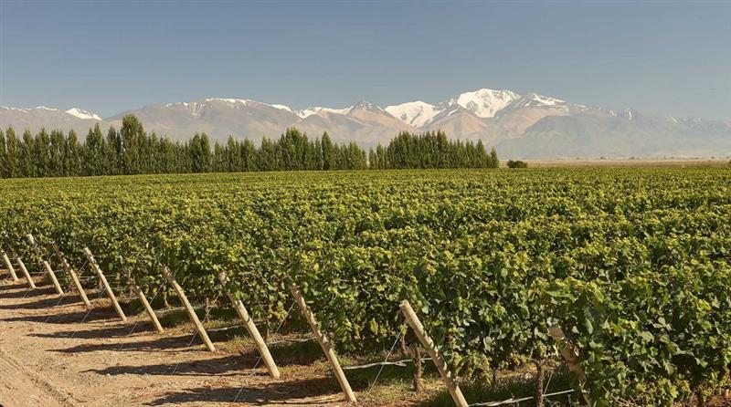 LVMH : Moët Hennessy annonce la troisième édition du World Living Soils Forum (WLSF)