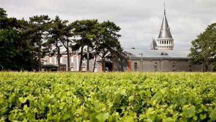 Maison Pommery : une activité 2025 en léger retrait