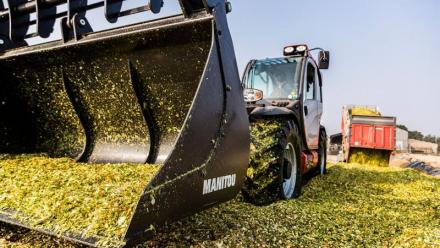 Manitou : un contexte et des résultats dégradés