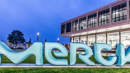 Merck dépasse les attentes sur le deuxième trimestre